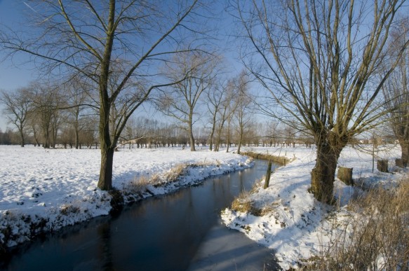 De Oude Kale