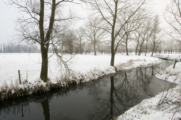 De Oude Kale