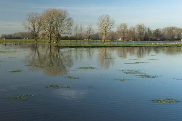 Poekebeek