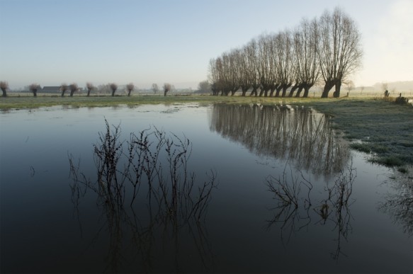 Poekebeek