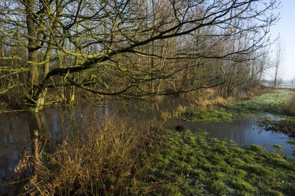 Poekebeek