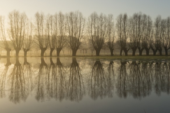 Poekebeek