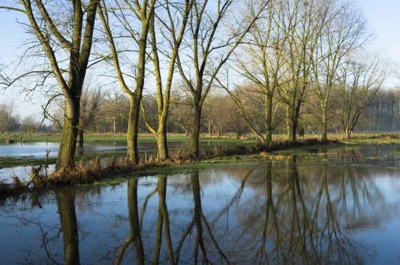 Poekebeek