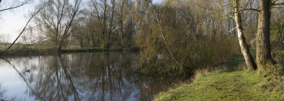 Molenmeers