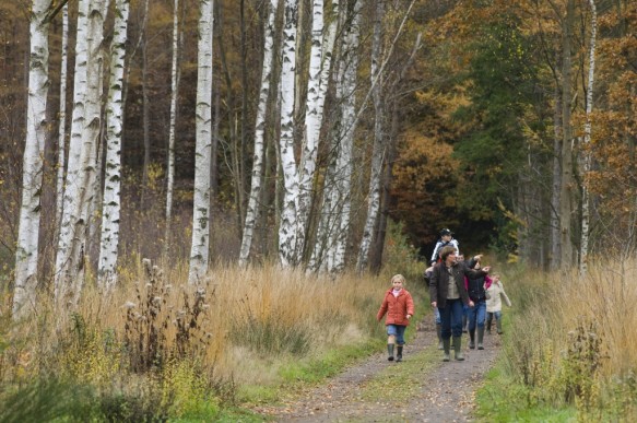Maldegemveld