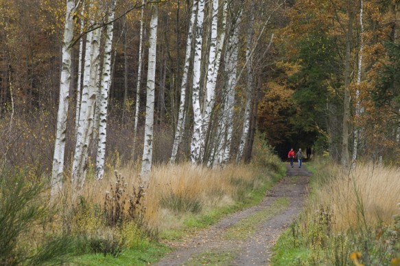 Maldegemveld