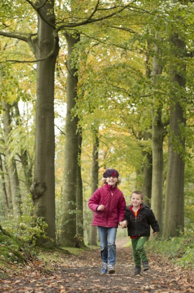 Kinderen spelen in het bos.