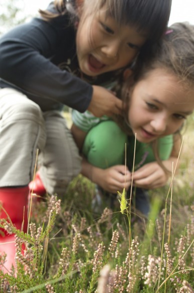 Kinderen kijken naar sprinkhaan.