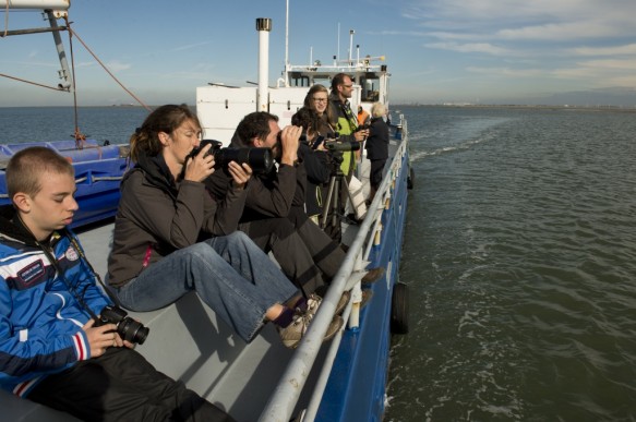 Rondvaart op de Westerschelde.