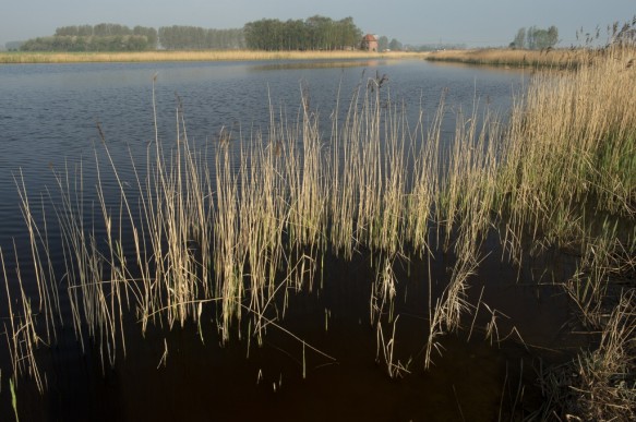 Oostpolderkreek