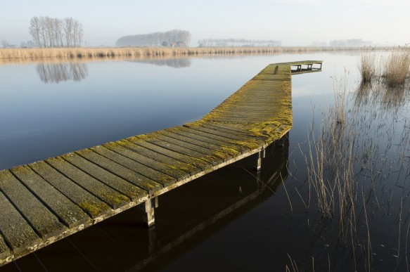 Oostpolderkreek