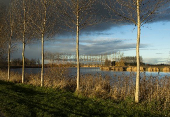 Blokkreek