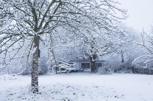 Tuin in de sneeuw