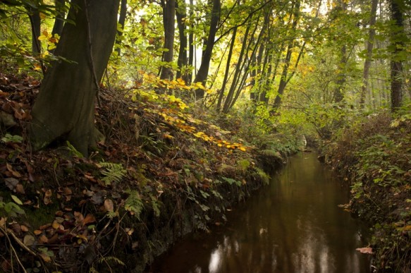 Splenterbeek