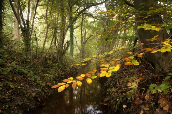 Splenterbeek