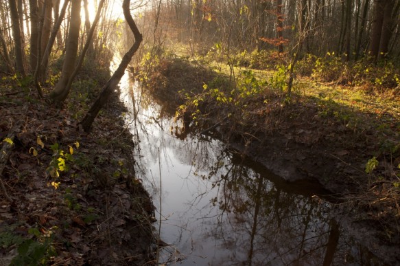 Splenterbeek