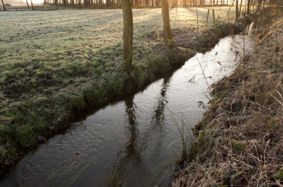 Splenterbeek