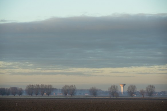 Polder in Sint-Laureins.