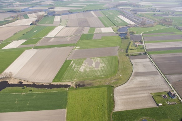 Meetjeslandse polders.