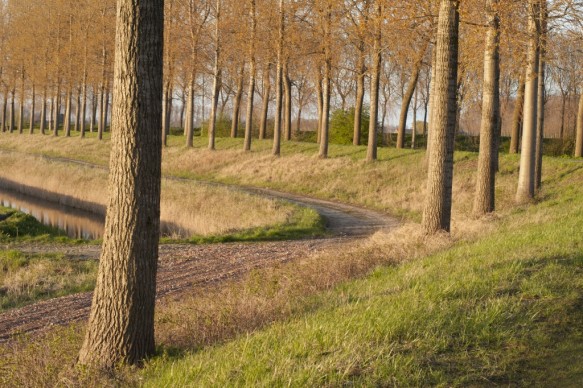 Scheurhoekdijk