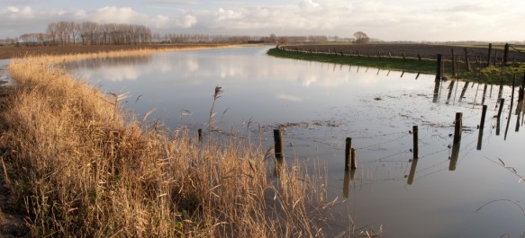 Poldergrasland onder water.