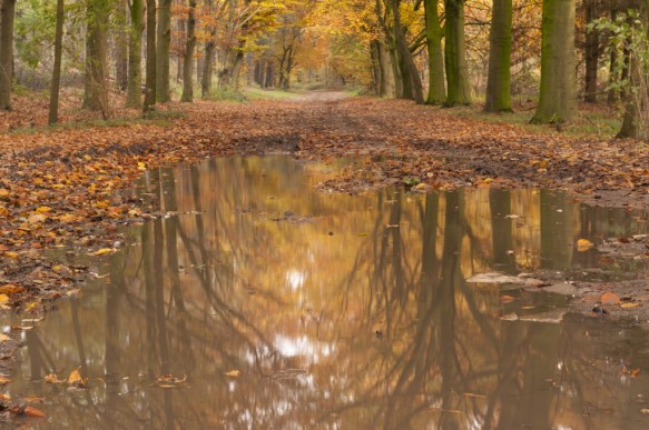 Antwerpse Heirweg