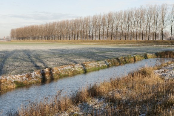 Polder in Assenede.