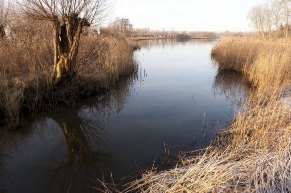 Grote Geul