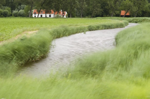 Grote Geul