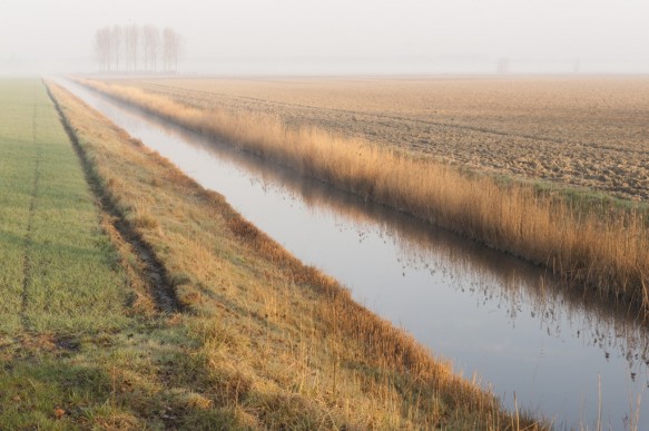 Polder te Assenede.