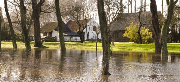 Overstroomde Vliet.
