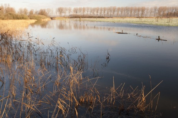 De Vliet