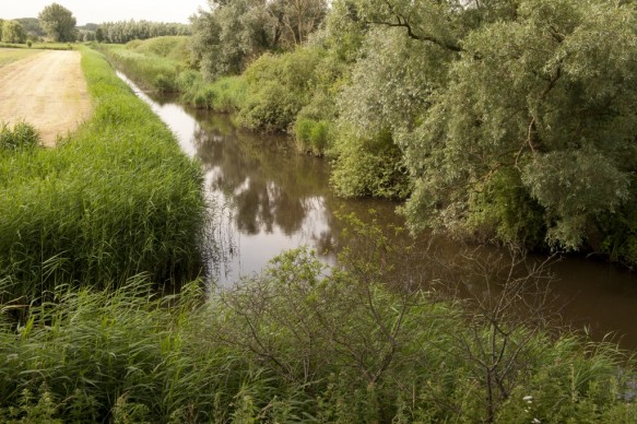 De Vliet