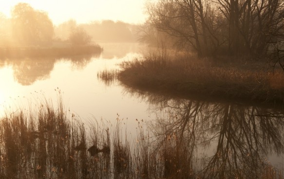 Grote Kil kreek