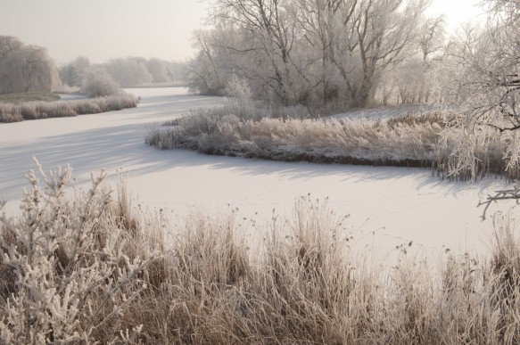 Hollands Gat