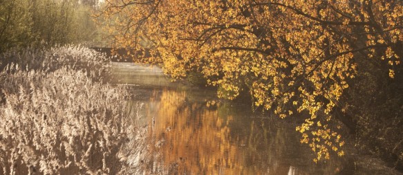 Zwarte Sluisbeek
