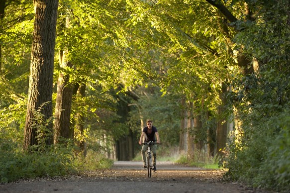 Fietsen in het bos.