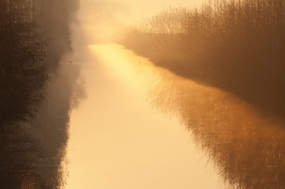 Leopoldkanaal.