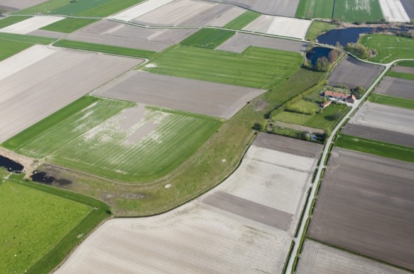 Vrouwkeshoekkreek