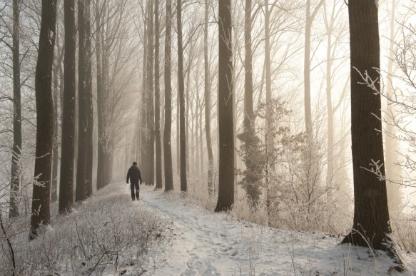 Dijk in de winter.