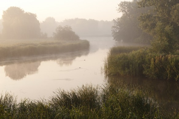 Hollands Gat kreek te Assenede.