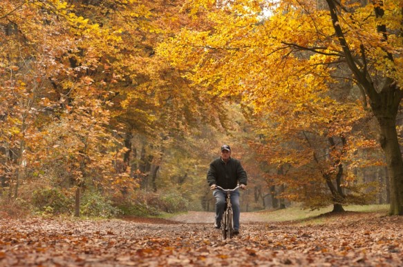 Bos in de herfst.