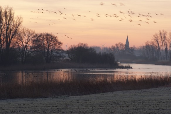 Grote Geul