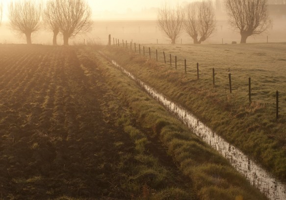 Agrarisch landschap