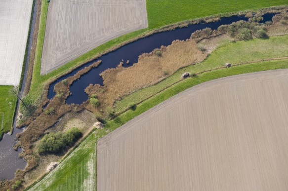 Roeselarekreek