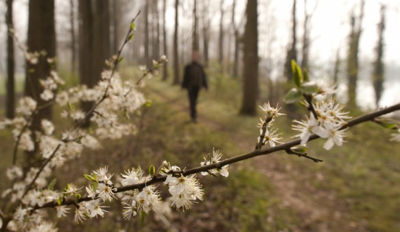 wandelen op dijk.