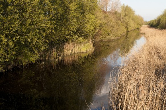 Zwarte Sluisbeek