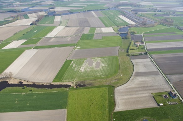 Vrouwkeshoekkreek