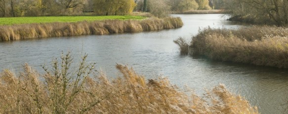 Grote Kil kreek