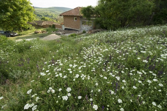 Vakantiehuis Bulgarije